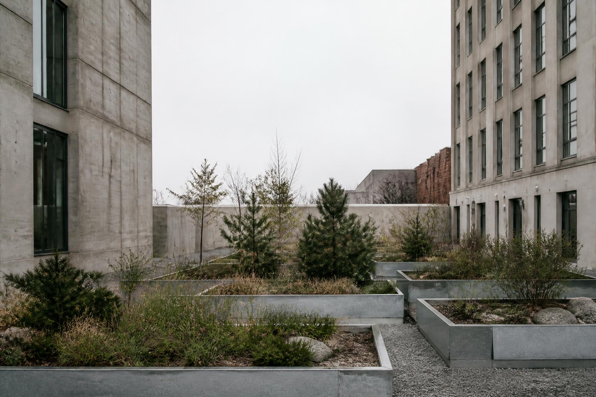 A quiet urban courtyard between concrete buildings, planted with low galvanized steel raised beds and native grasses under overcast light.
